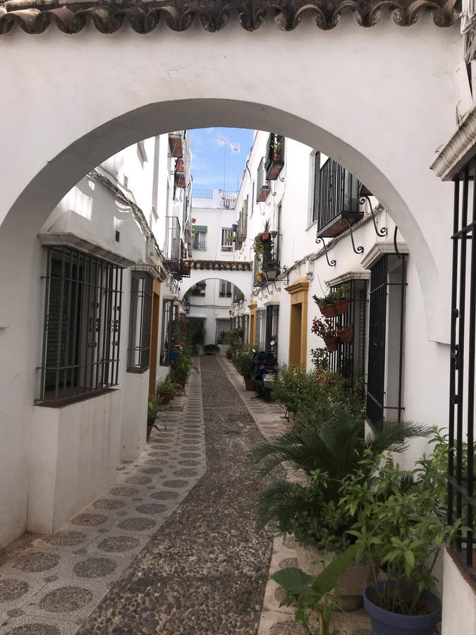 Apartamento A. Andalusi. Cordova Esterno foto